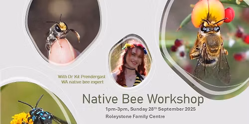 Native Bee Workshop