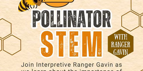 STEM with Ranger Gavin
