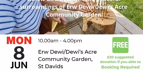 Willow Weaving Workshop