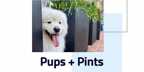 Pups + Pints
