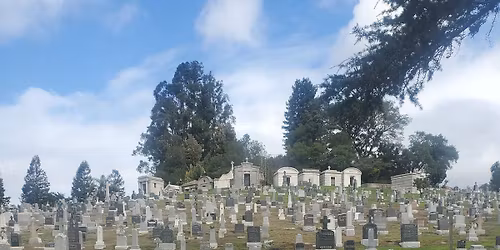 TIFFF Ride 2.8 - Cemetery Edition