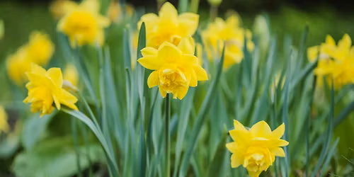 Eugene Walk & Talk - March