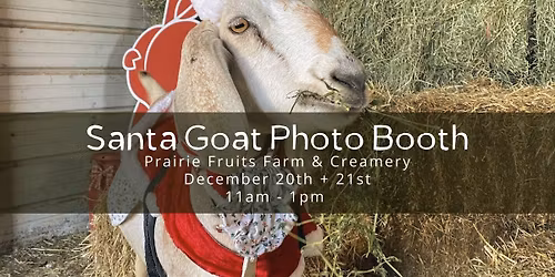Santa Goats Photo Booth