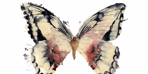 Watercolour Butterflies Workshop 28th November 2026