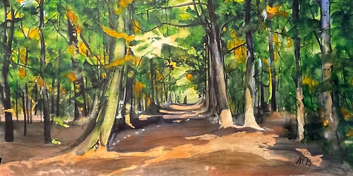 V\u00fdstava pro stromy a kolemjdouc\u00ed