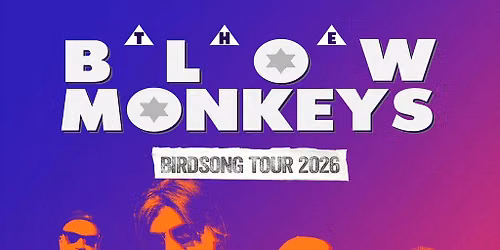 The Blow Monkeys