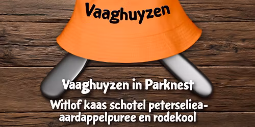 Vaaghuyzen Dj Collective