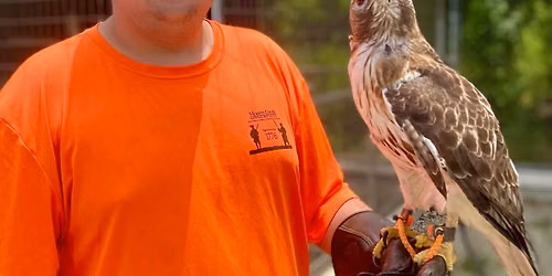 August Raptor Camp