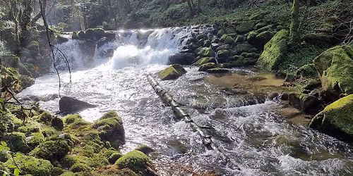 Caminhando na Rota de Rios, Cascatas e Levadas