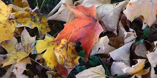 Lancaster Tri-County RCF Double Fall Show 2025