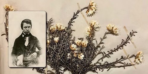 150 Years of Botanical Communication