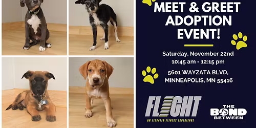 Adoption Meet & Greet at FLIGHT - Donation Class 