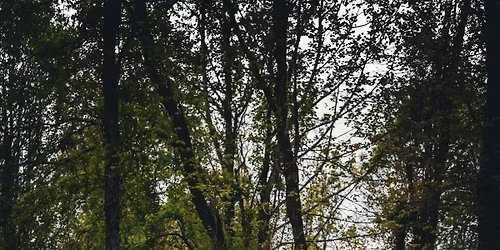 Winter Music Series with Brown Oak Assembly 