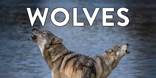 Wolf Parade