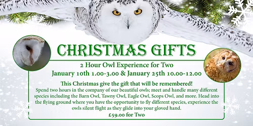 Christmas Gifts - 2 Hour Owl Experience for Two