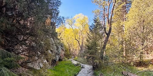 Crowned and Climbing - Golden edition 