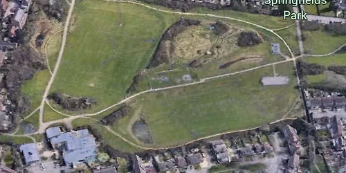 Springfield Park Litterpicks 2026