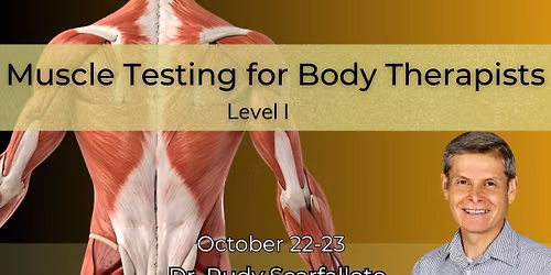 Muscle Testing for Body Therapists \u2013 Level 1