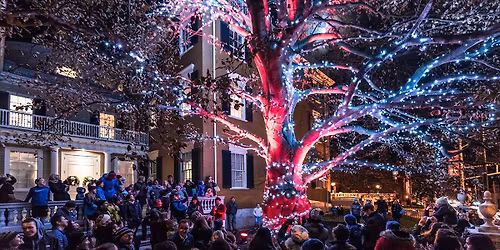 December Lights | Free Access All Day