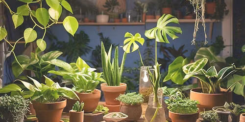 Indoor Plant Propagation Masterclass
