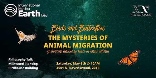 Birds & Butterflies - The Mysteries of Animal Migration