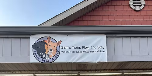 Canine health and wealth workshop