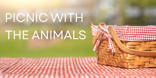 Picnic with the Animals