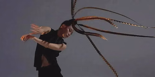 RCA Presents: HUNG DANCE - BIRDY Repertoire