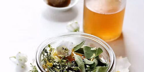 Warsztaty zielarskie: oksymele dawne i dzisiejsze