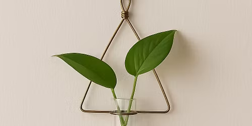 Gifted: Plant Propagation Station Workshop