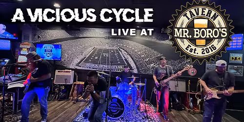 A Vicious Cycle Live at Mr Boros!