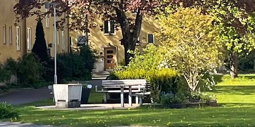 Tr\u00e4den i staden