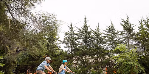 Northeast Arts Chalk Walk E-Bike Petting Zoo