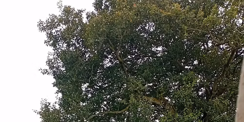 \u09aa\u09cd\u09b0\u0995\u09c3\u09a4\u09bf\u09b0 \u09ae\u09be\u099d\u09c7 \u09b6\u09be\u09a8\u09cd\u09a4\u09bf