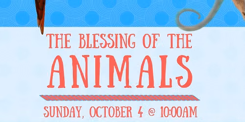 Blessing of the Animals