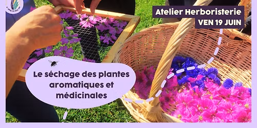Atelier herboristerie : Le s\u00e9chage des plantes aromatiques et m\u00e9dicinales