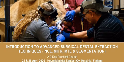 VetPD Course - Introduction to Advanced Surgical Dental Extraction Techniques