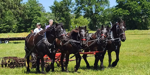 Introduction to Driving a Team