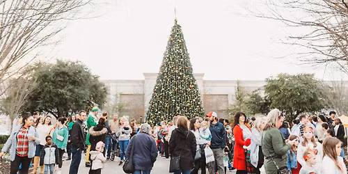 Lights Up | Holiday Festival