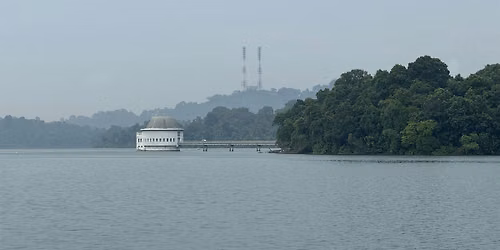 MacRitchie - Upper Peirce Trek