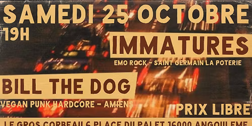 PUNK ROCK AU GROS CORBEAU ! IMMATURES ET BILL THE DOG !
