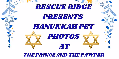 Pet Hanukkah Photos at The Prince and the Pawper
