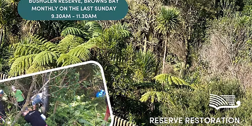 Bushglen Reserve, Browns Bay - Volunteer Restoration Group