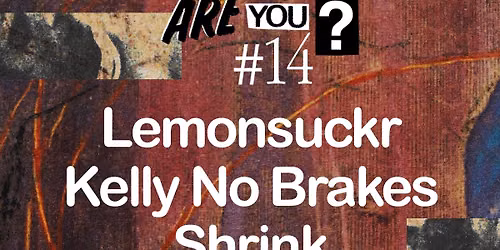 So Young: Who Are You? #14 - Lemonsuckr + Kelly No Brakes + Shrink