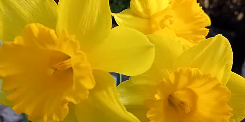 **now fully booked ** Spring Yoga Retreat 2026