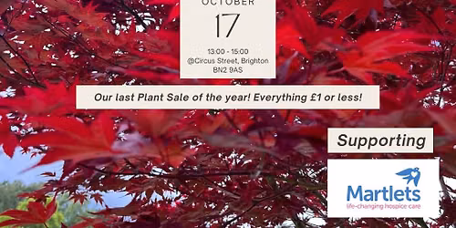 Bargain Plant Sale - Sat 17th Oct @Circus Street