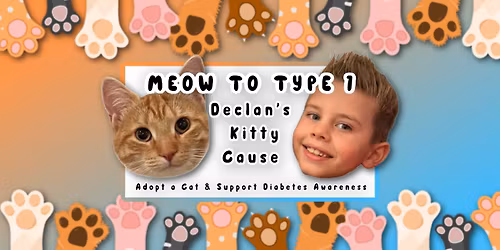 Meow to Type 1: Declan's Kitty Cause