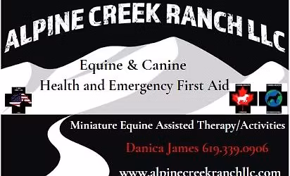 Advanced Emergency First Aid\/ Wilderness Edition