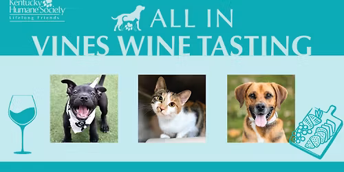 ALL IN Wine Tasting & Charcuterie at Vines Wine Bar