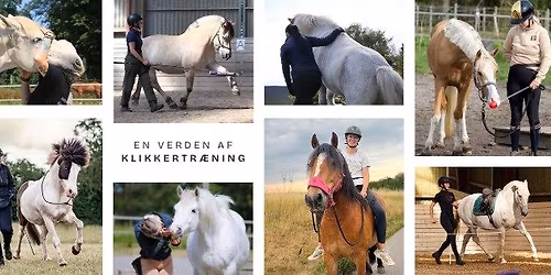 Inspirationsdag: En verden af klikkertr\u00e6ning